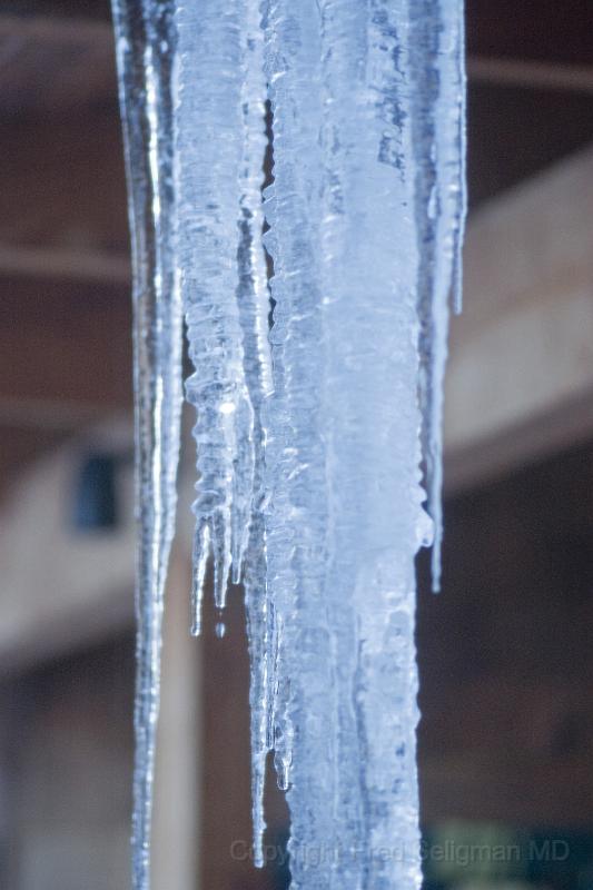 20080102_163925 D70 F.jpg - Icicles at Happy Tails, Maine